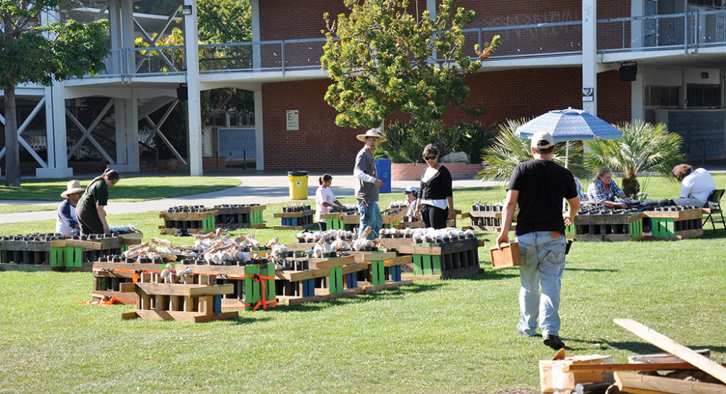 Fireworks shells are stacked on the PaliHi quad during the day on July 4. Photo: Shelby Pascoe