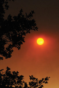 Palisadian Jim Kenney took this photograph at 4 p.m. on July 23 in the Palisades. “With smoke from the fire in Sand Canyon, the brilliant red of the sun only lasted about 20 minutes; when the wind shifted, it became much less dramatic,” Kenney told the Palisades News. Photo: Jim Kenney