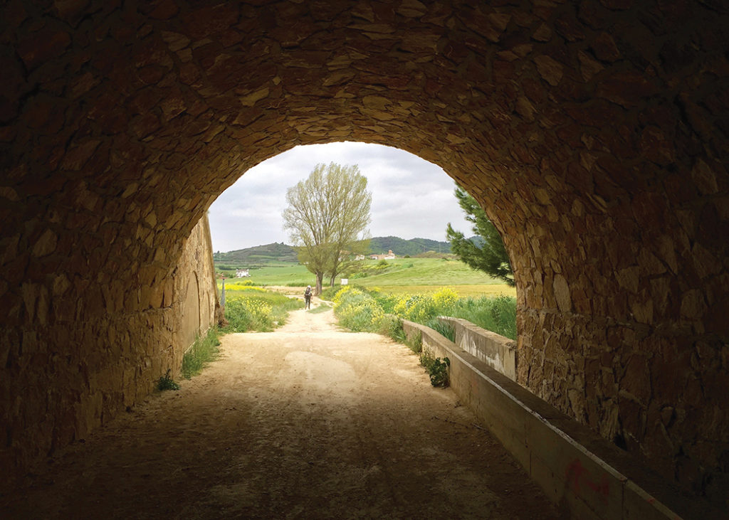 A tunnel on Carol Sanborn’s 620-mile odyssey along the Camino de Santiago. Photo: Carol Sanborn
