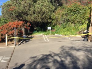 A deceased man was found in this wooded area near the Pacific Palisades Woman's Club on Nov. 3, 2016. 