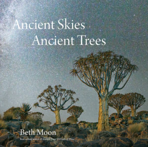13-ancient-skies-ancient-trees
